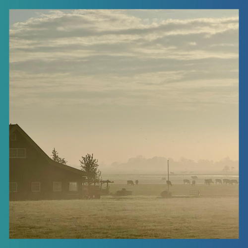 Reiseziele dieser Saison Reiseziele dieser Saison
