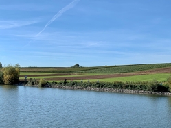 Neckar, bike and barge, Merlijn, cycling