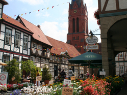 Nienburg Market