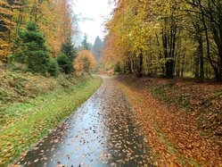 Ruwerhochland radweg 2