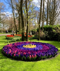 Keukenhof 2