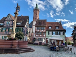 Ladenburg, Bike and barge, Market place, alte markt