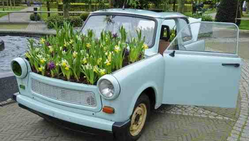 Keukenhof Car&Flowers