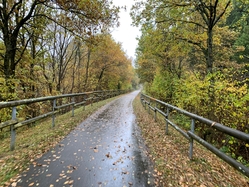 Ruwerhochland radweg