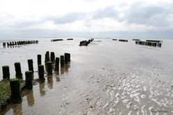 UNESCO haritage wadden-sea