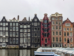 Tulip Tour
