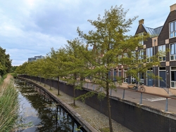 Amsterdam Cologne