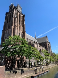 Tulip Tour
