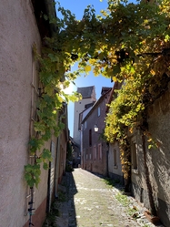 Bamberg - Frankfurt