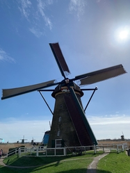 Tulip Tour