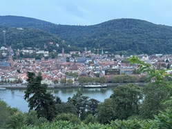 Stuttgart - Mainz