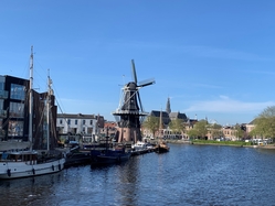 Tulip Tour