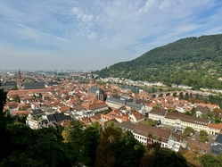 Stuttgart - Mainz