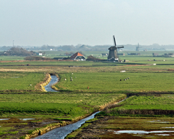 Northern Holland windmill landscape