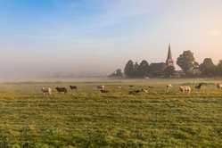 Friesland Landscape 