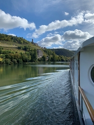 Obrigheim, Neckar, bike and barge, Merlijn