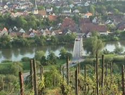 Neckar & Grapes