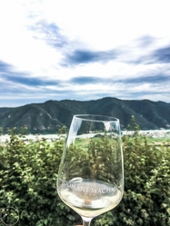 Wachau, Wine