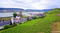 Rüdesheim