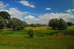 Havel landscape