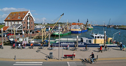 Texel Harbour