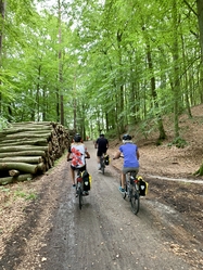 Odenwald, biking