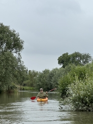 Biesbosch