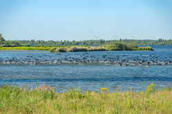 Polder landscape