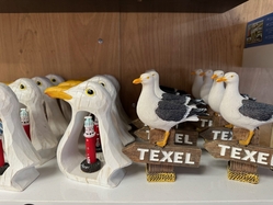 Merlijn’s Holland, Friesland & Texel tour