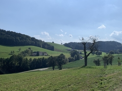 Passau- Vienna