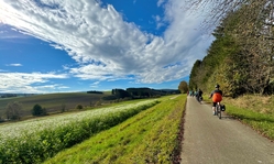 Mainz - Merzig