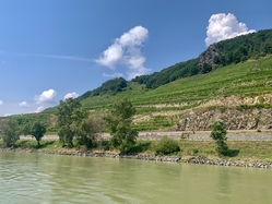 Passau- Vienna