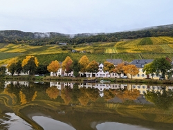 Mainz - Merzig