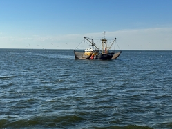 Merlijn’s Holland, Friesland & Texel tour