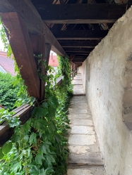 Bamberg - Passau