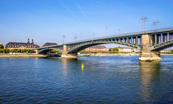 Mainz & Rhine river