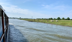 IJssel river