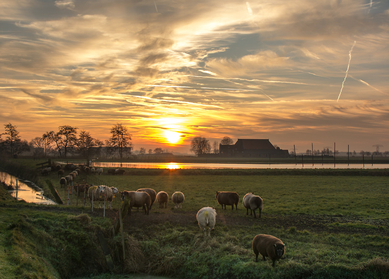 Premium authentieke Nederland & Duitsland reis | ‘De Noord route” Premium authentieke Nederland & Duitsland reis | ‘De Noord route”